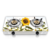 VISION LPG DOUBLE GLASS GAS STOVE