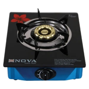 Gas Stove