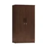 TWO DOOR ALMIRAH/CUPBOARD