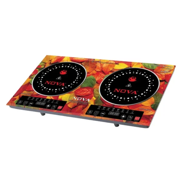 INFRARED & INDUCTION COOKER