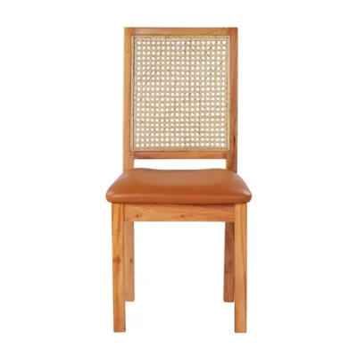 CANE PLUS WOOD DINING CHAIR