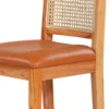 CANE PLUS WOOD DINING CHAIR