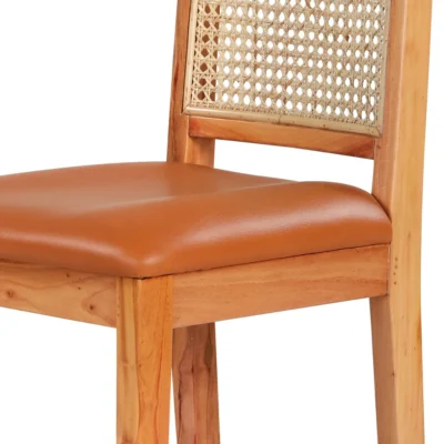 CANE PLUS WOOD DINING CHAIR