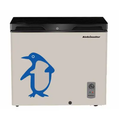 Kelvinator 225L