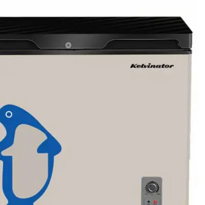 Kelvinator 225L