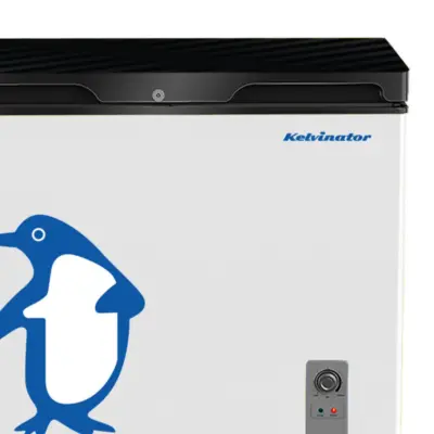 Kelvinator 225L